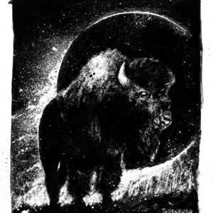 'Bison in Shadow' Print
