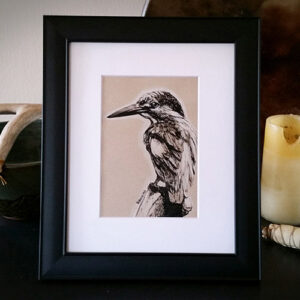 'Kingfisher' Matted Display Print