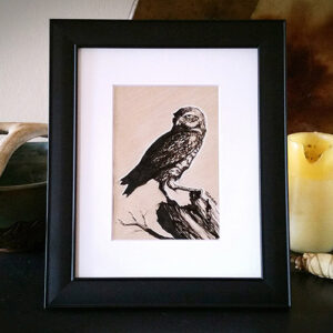 'Burrowing Owl' Matted Display Print