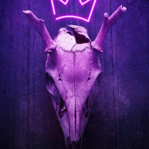 "Synth-West Skull" Open Edition Giclée Print