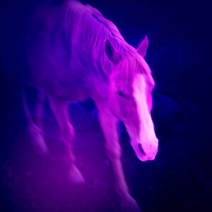 "Synth-West I" Open Edition Giclée Print