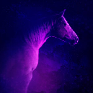 "Synth-West II" Open Edition Giclée Print